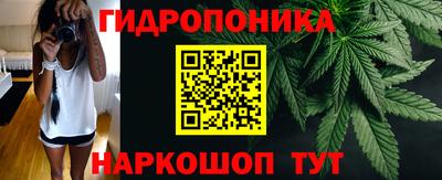 прущие крисы Мариинск