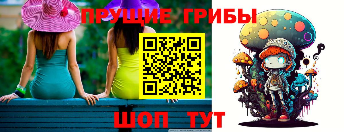 Псилоцибиновые грибы Psilocybine cubensis Улан-Удэ